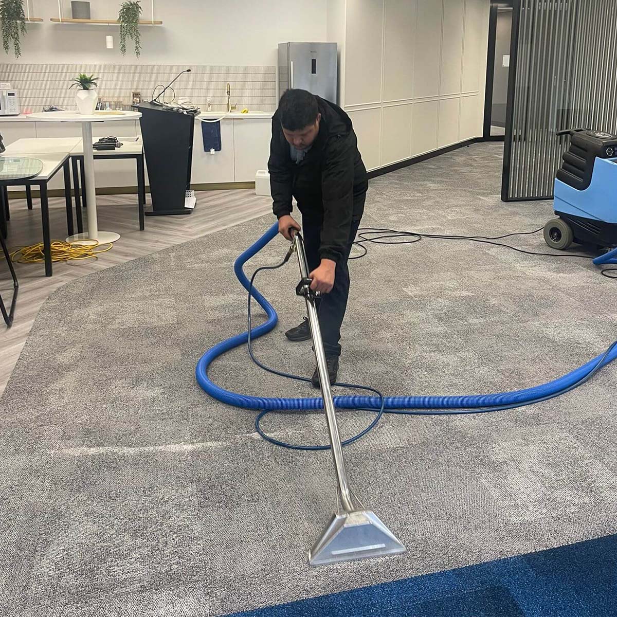 carpet cleaning services